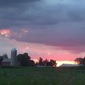 Andrea Freeman's photo