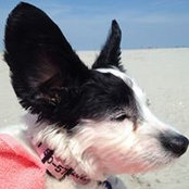 Janis McGowan's photo