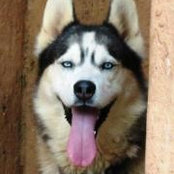 Lynn Stander's photo