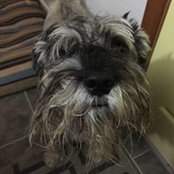Maxine Plett's photo
