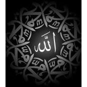 Mohammed Jamadar's photo