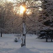 Heather Moore's photo