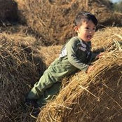 Thien Lams billede