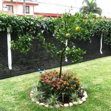 jardines