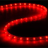 DELight 150' 2-Wire LED Rope Light Holiday Decor Indoor/Outdoor, Red