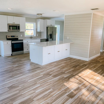 Lithia Full-Home Renovation