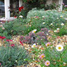 jane_doherty's Ideas