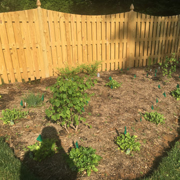 Immediately after planting