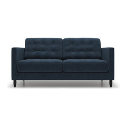 Mod-century modern loveseats - Loveseats