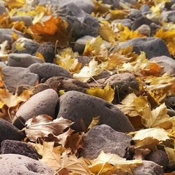 Stone in the Wild - Landscaping Stones And Pavers