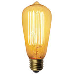 Urbanest - Dimmable Squirrel Cage 40 Watt Edison Bulb, E26 Base - With clear glass and prominent filmaments, Edison light bulbs are a simple and effective way to make a statement in lighting.