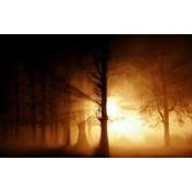 Ahad Ebrahimzadeh's photo