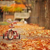Ron Pen's photo