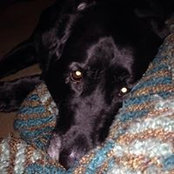 Shawn Waddle's photo