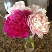 Julie Blodgett's photo