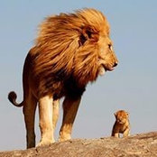 Ernesto Carrizoza's photo