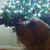 Photo de Scott Colvin