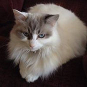 Jane Guest's photo