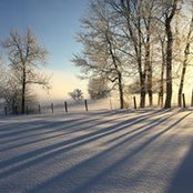 Ed Crowley's photo