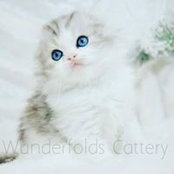 Ginger Troutman-Pains's photo