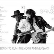 Nancy Weiner's photo
