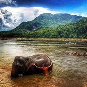 Fraser Laveay's photo