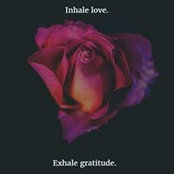 Tammy Bilodeau's photo