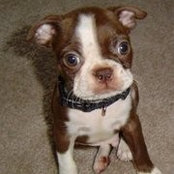 Matthew Loll's photo