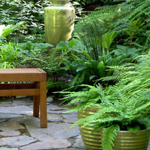 shade garden