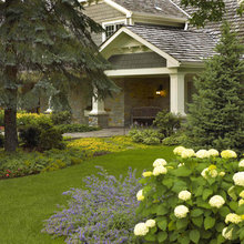 Landscape ideas