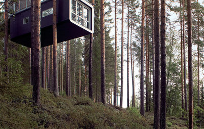 Amazing Tree Houses From All Over the World