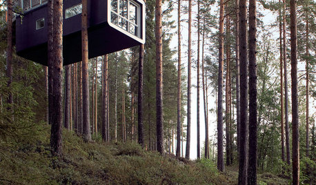 Amazing Tree Houses From All Over the World