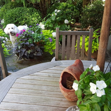 Traditional Elegance Combining an English and Natural Sensibility