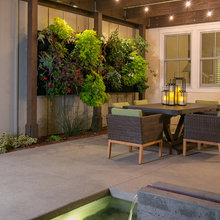 Roof garden