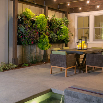 Encinitas Contemporary
