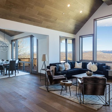 Aspen, Colorado Rustic Modern Home-Cobalt White Oak