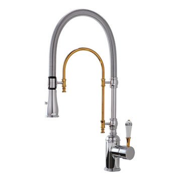 High Arc Swiveling Pull Out Spray Kitchen Faucet with Single Porcelain Handle, C