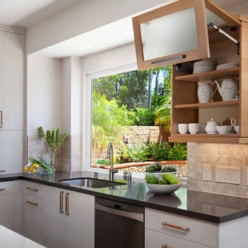 European Minimalism in Rancho Peñasquitos