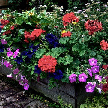 Softscape (Flowers, Flower beds and more)