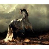 Liza Cheek's photo