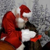 Antoinette Errante's photo