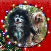 Lori Handley's photo