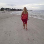 Shelley Schaeffer's photo