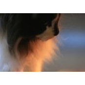 Andrea Haddix's photo