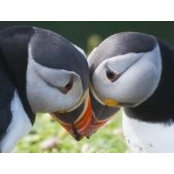 Jennifer Marlor's photo