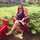 colleen_mcclellan12