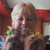 Tracey Schittlers foto