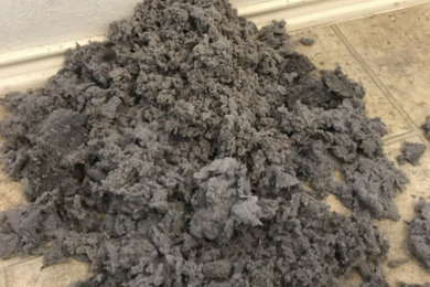 DRYER VENT CLEANING.