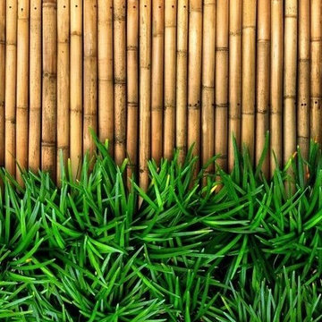 Natural Bamboo Poles