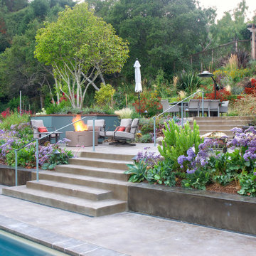 Mill Valley Hillside Landscaping